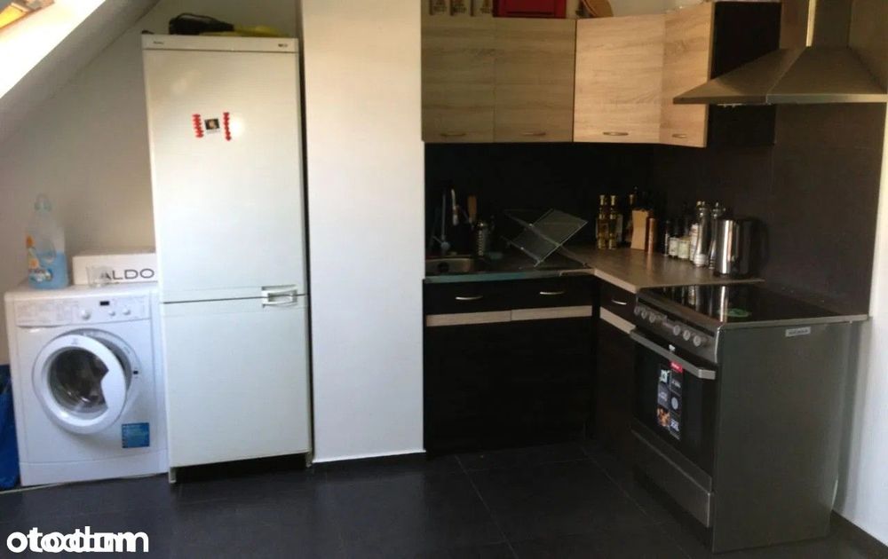 Bezposrednio do wynajecia jasne ciche 56m2 w centrum pestalozziego