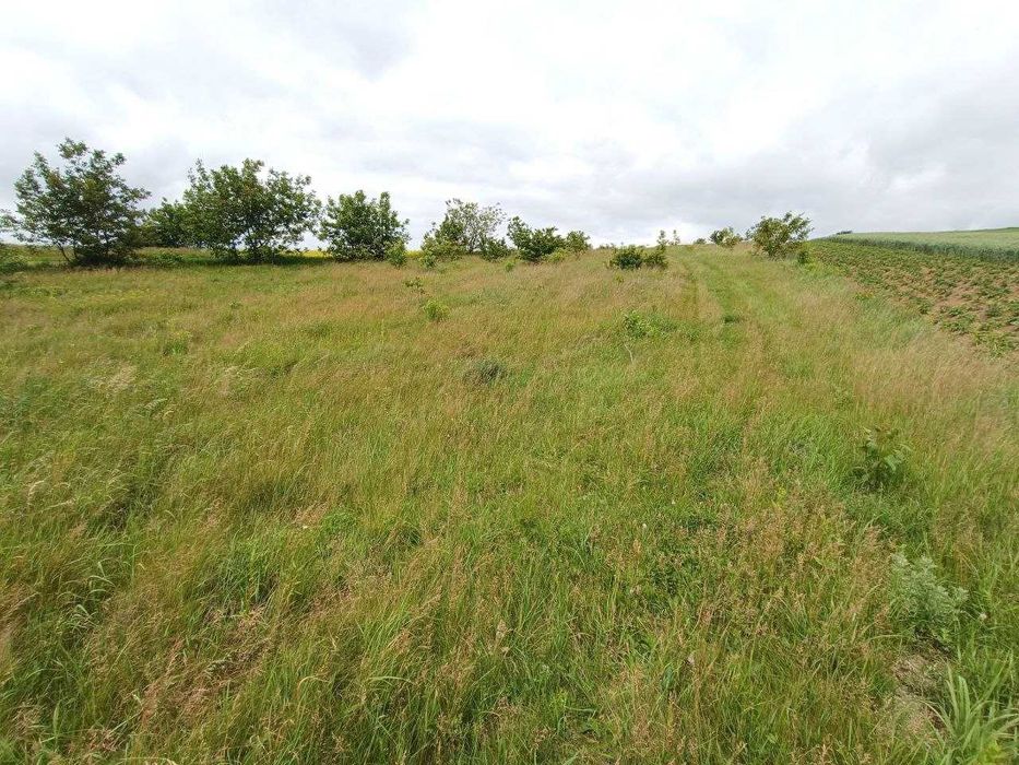 Продаж земельної  ділянки с. Обарів