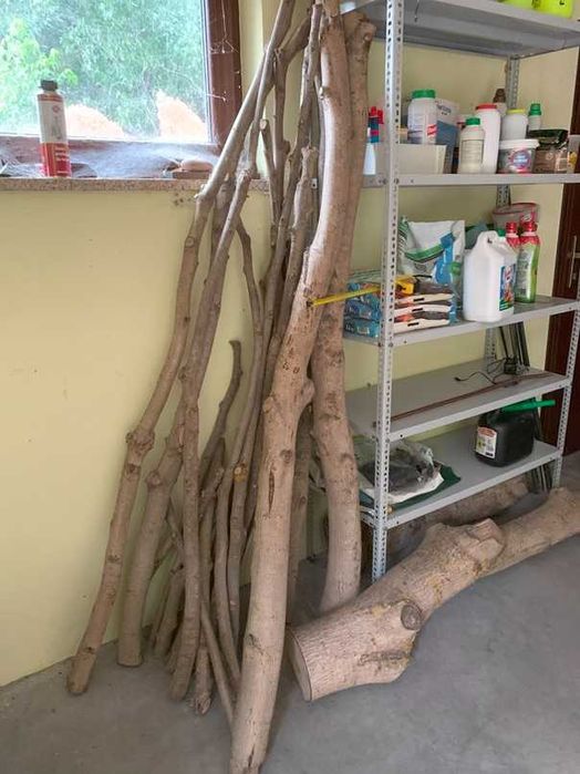 Drewno orzech włoski