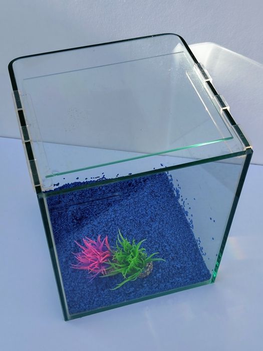 Aquário Tanque 10L