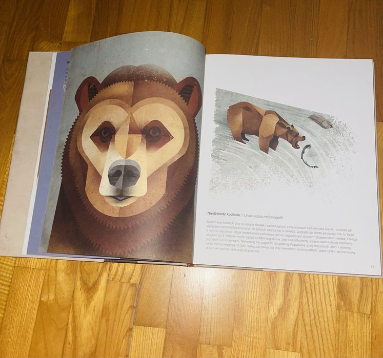 Galeria dzikich zwierząt PÓŁNOC Dieter Braun nowa