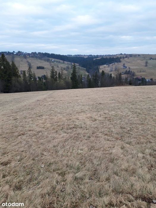 Na sprzedaż działki rolne oraz las – Nowe Bystre - View 3