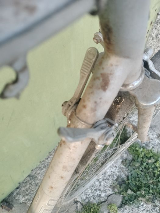 Esmaltina para restauro