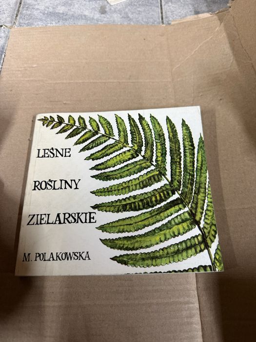 Leśne rośliny zielarskie – M. Polakowska