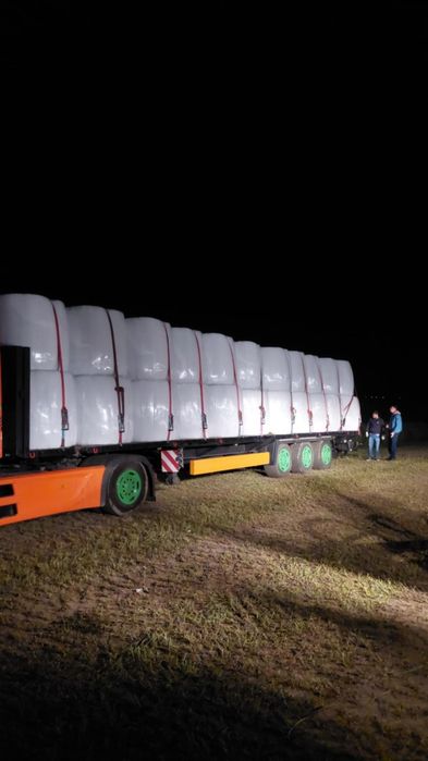 Sianokiszonka z Lucerny Bele 130cm z transportem