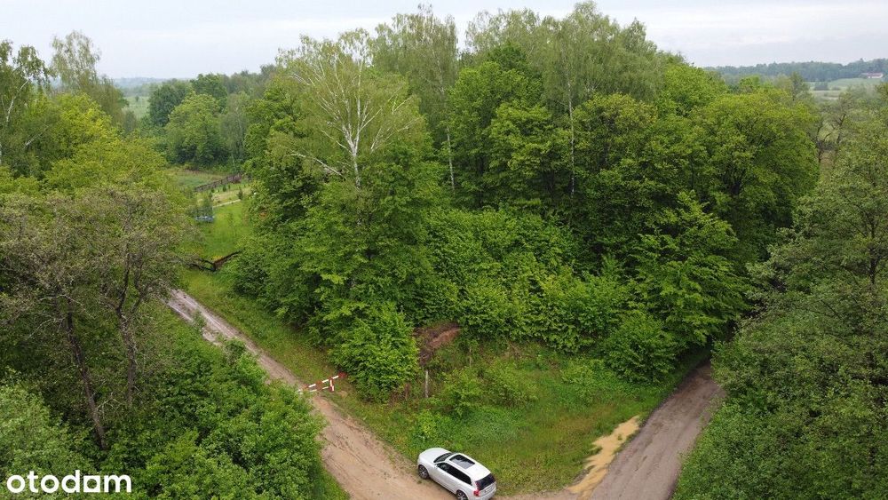 Działka - widok na jezioro Sasek Wielki. Dąbrowa - Więcej