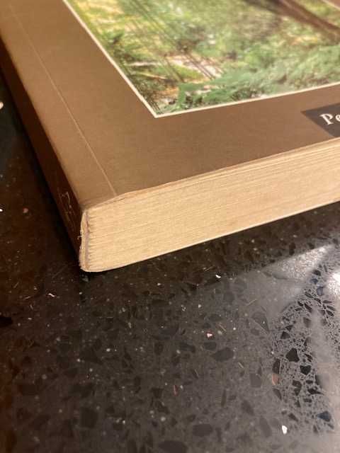 Livro Brida de Paulo Coelho