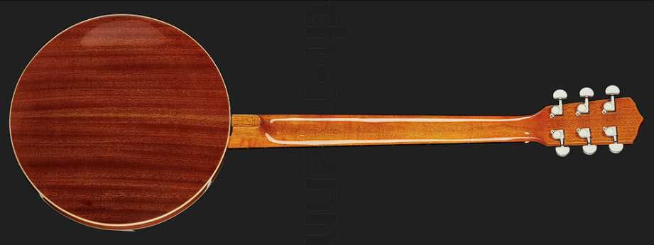 Банджо Harley Benton HBJ-26 • Нова • Хіт продажів