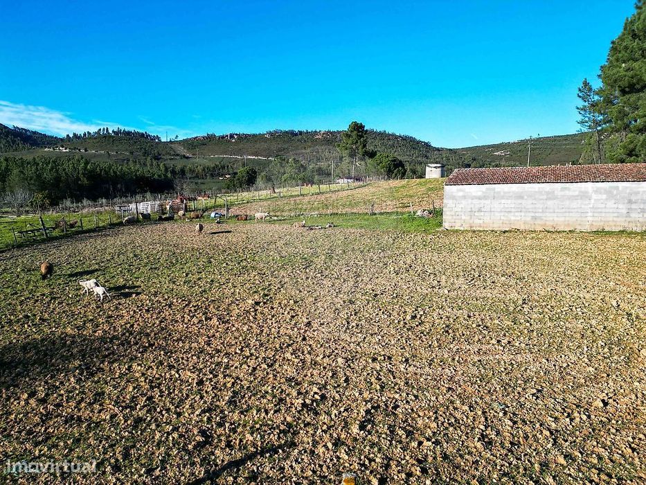 Terreno  para venda