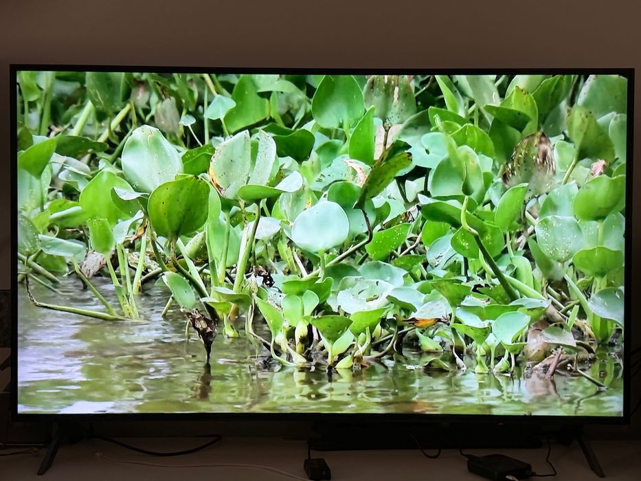 Smart TV LG QNED 8E 4K de 55 polegadas