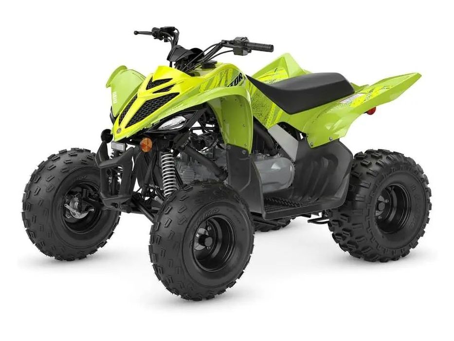 Yamaha Raptor Raptor 110 2026