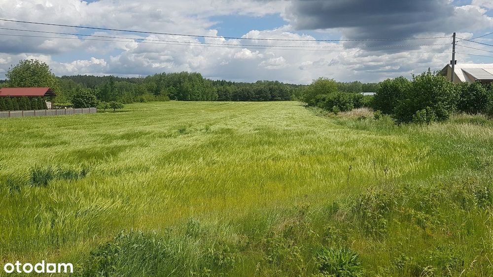 Sprzedam działkę budowlaną w Staszowie z WZ na dom