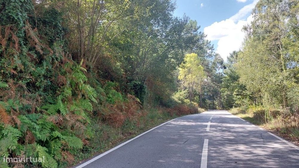 Terreno Agricola - Chamoim — Chamoim E Vilar, Braga