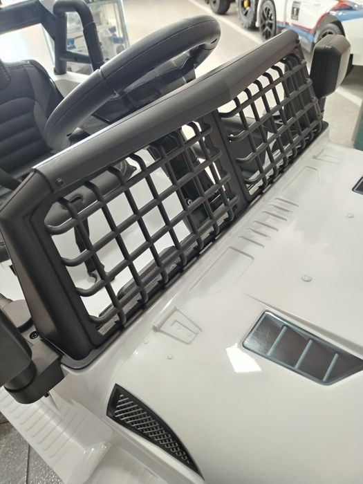 Jipe elétrico criança 12v