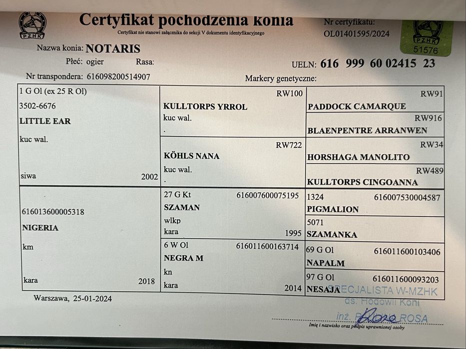 Notaris szuka nowego kochajacego domu
