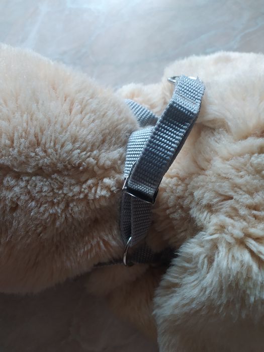 Шлея для собак. S.