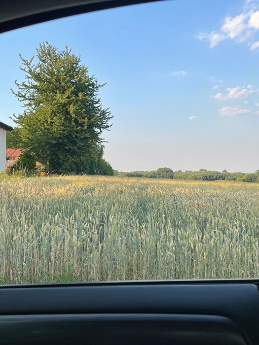 Działka budowlana - Widok 4