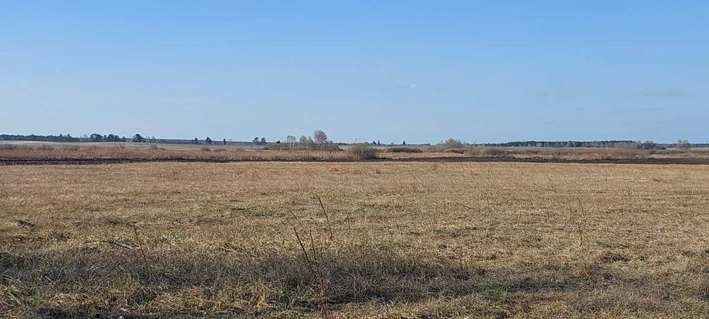 Комерційна пропозиція!  Синяк, 7.6 га, ОСГ.  Біля води