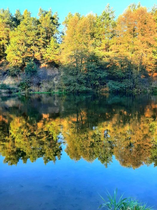 Do wynajęcia dom na urlop/wakacje w spokojnej okolicy