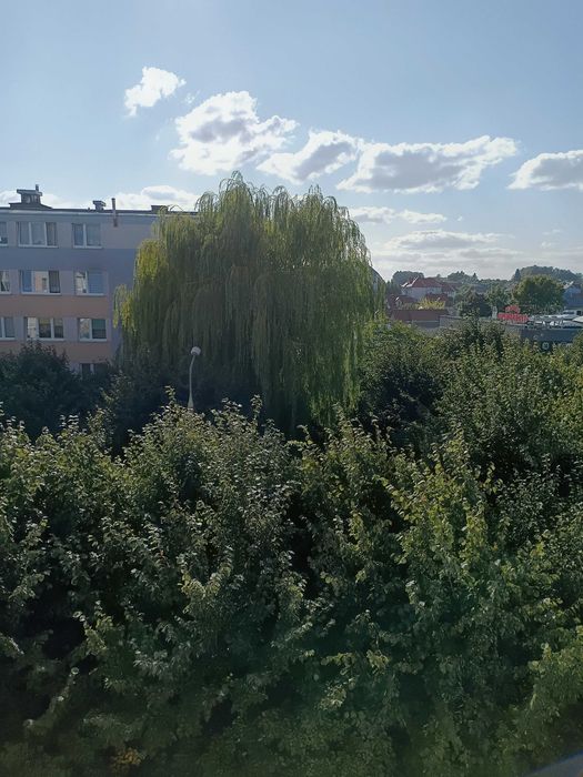 Mieszkanie – Mrągowo - Widok 2