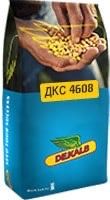 Насіння гібридної кукурудзи
