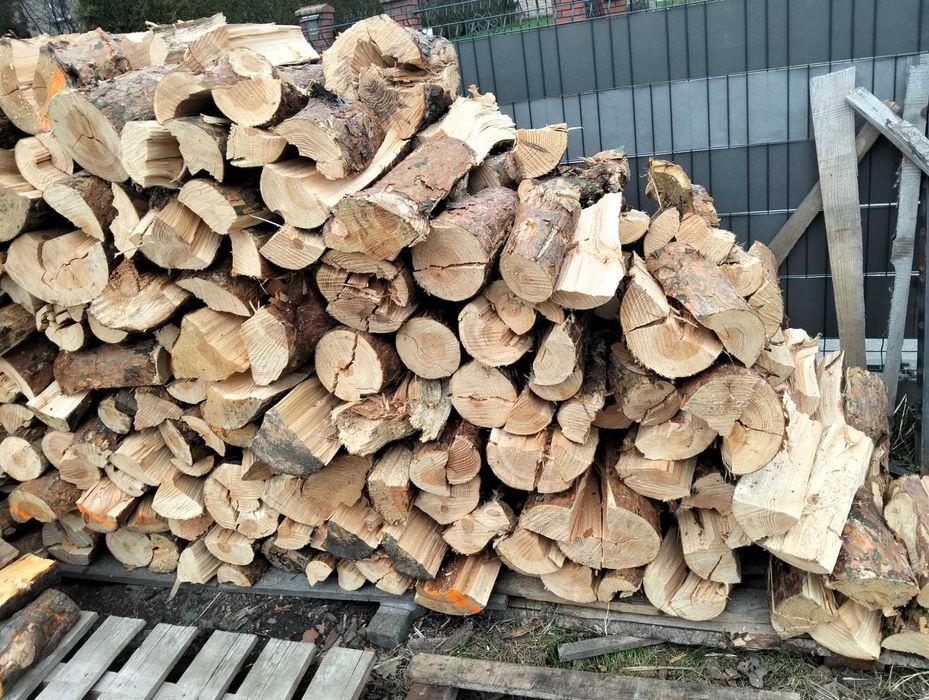 Drzewo opałowe sosnowe