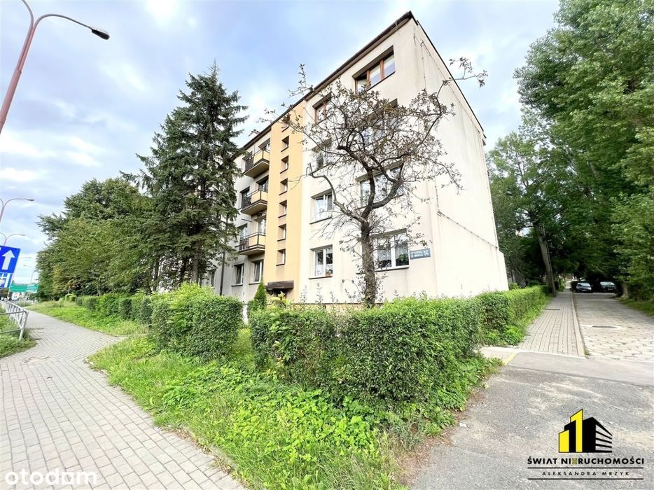 Kawalerka w centrum na wynajem