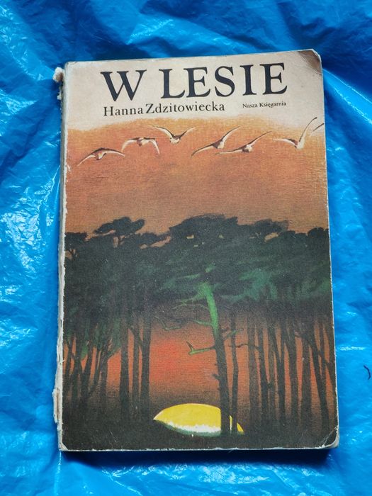 Książka dziecięca w Lesie 1986rok