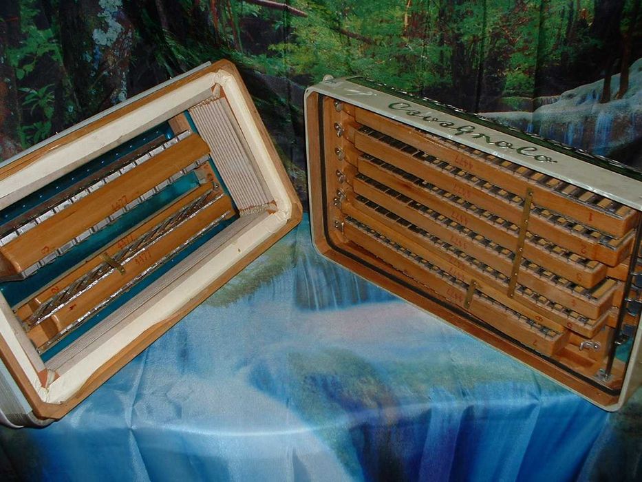 Acordeao Avenda G, .26