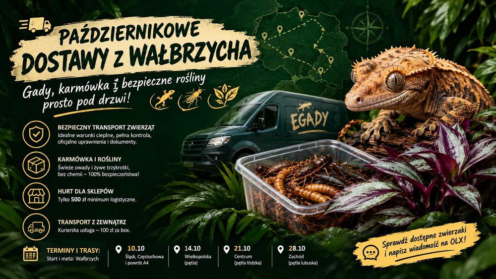 Profesjonalny Transport Zwierząt Egzotycznych | Kurier Terrarystyczny | Październik 2026