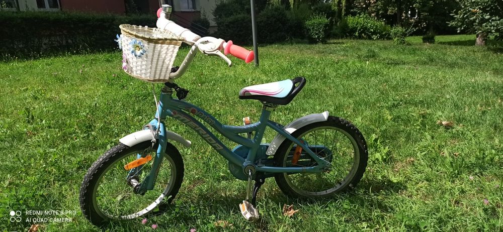 Rower merida daisy 16"