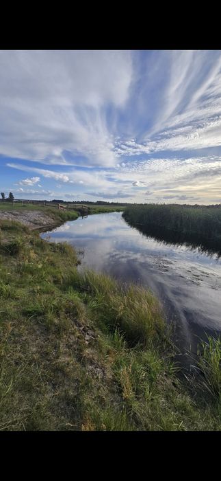 Sprzedam  Działkę Gabowe Grądy Promiski WZ 3400m2