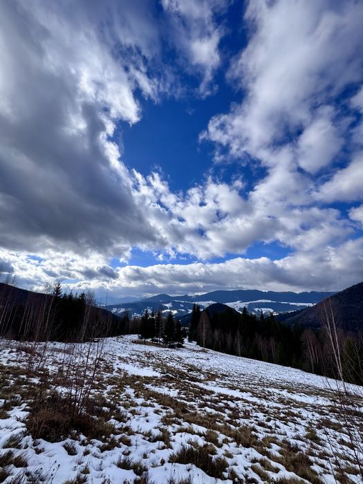 Земля 3,64 га у Карпатах, вид на Чорногірський хребет, під будівництво