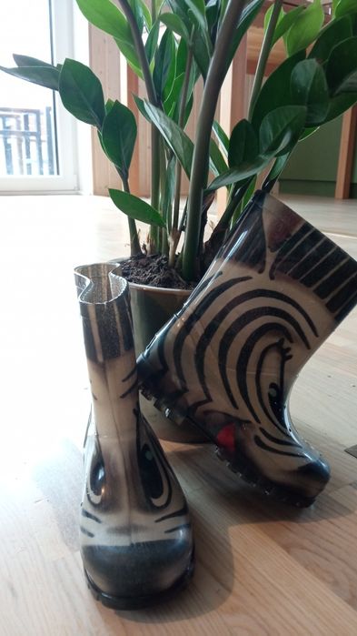 Kalosze buty wodoodporne przeciwdeszczowe gumiaki gumiaczki zebra zebr