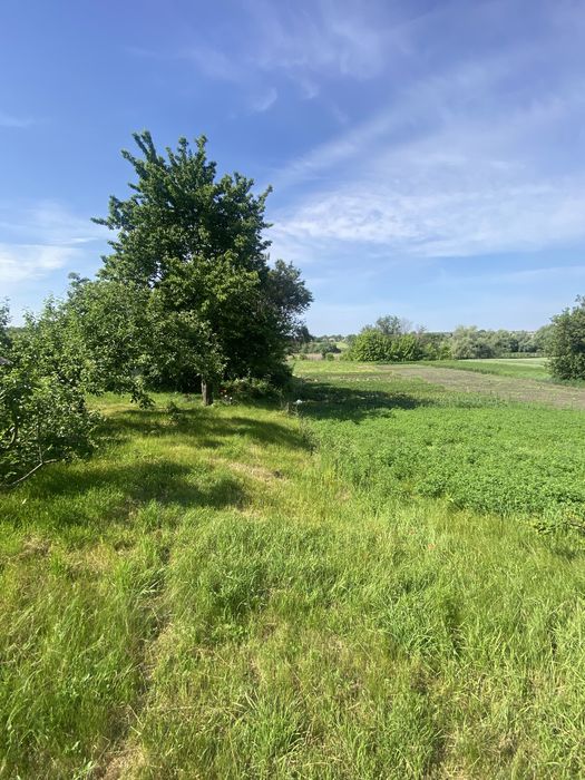 Продам будинок м.Городище Черкаська обл.