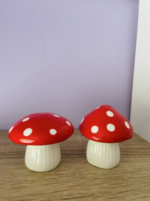 Solniczka pieprzniczka muchomor