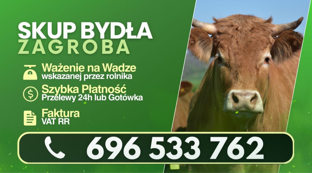 !! Skup Bydła !!
