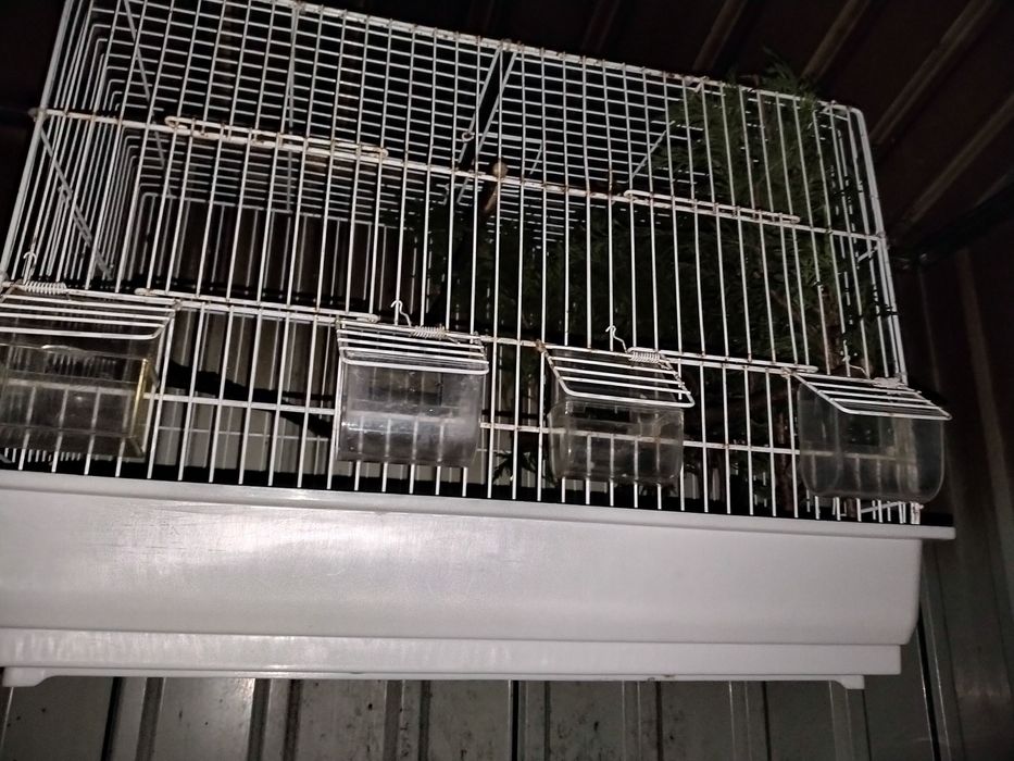 Vendo ou troco viveiro