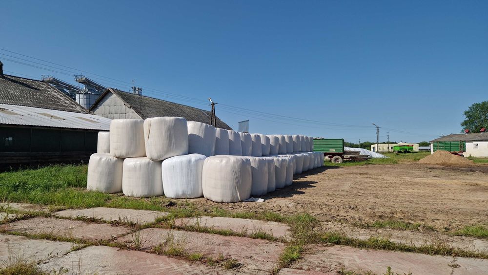 Sianokiszonka Lucerna Bele