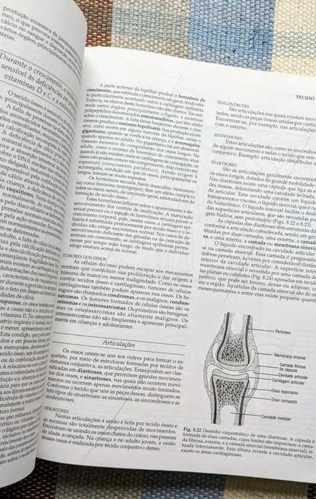 Livro "Histologia Básica" de Junqueia & Carneiro