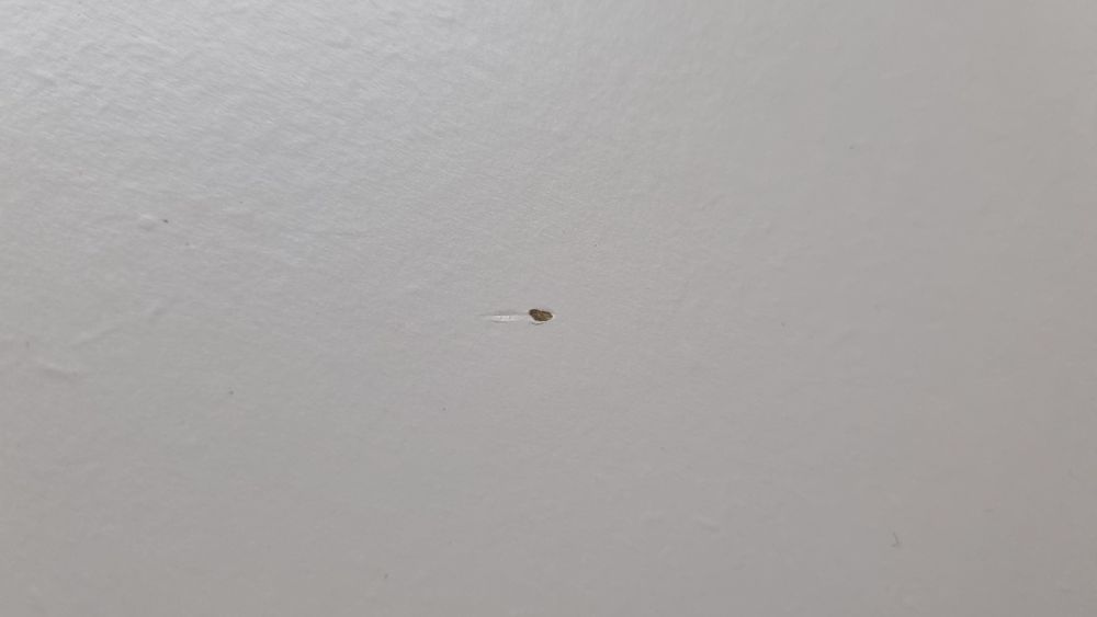 Portas e frentes de gaveta LAPPVIKEN Besta Ikea