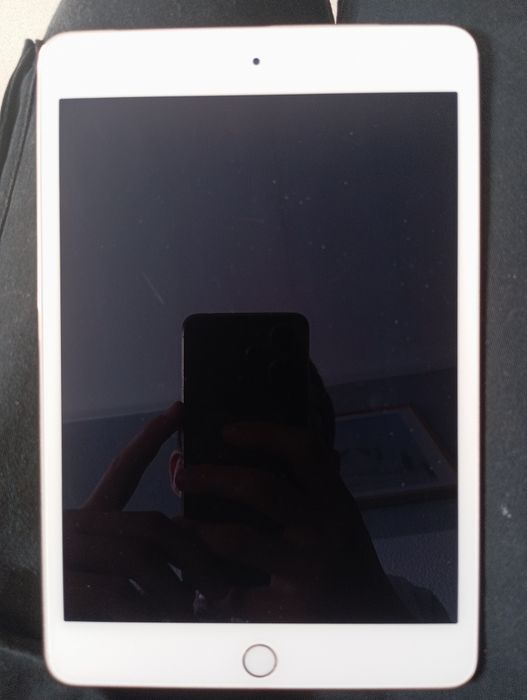 iPad mini 4 WIFI