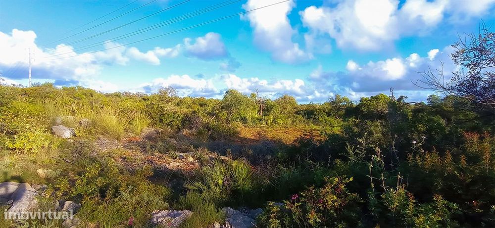 Terreno Rústico  Venda em Conceição e Estoi,Faro