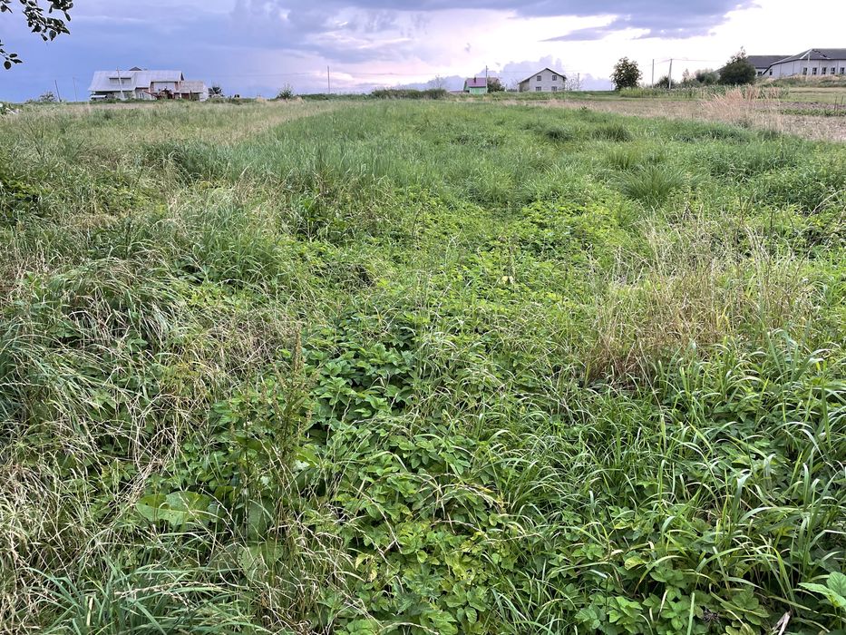 Старий будинок із земельною ділянкою 50 арів