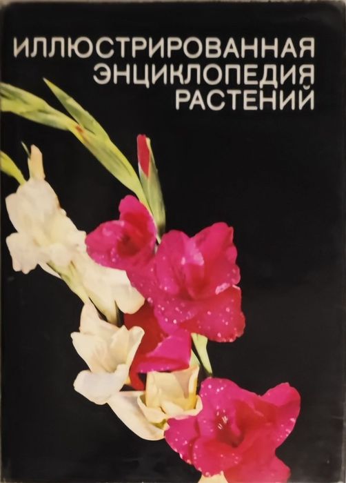 Ілюстровані Інциклопедії