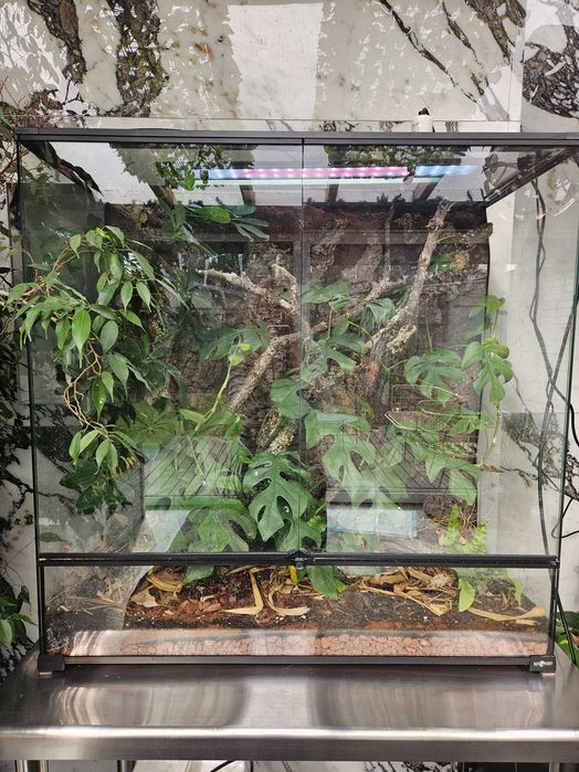 Sprzedam terrarium dla kameleona