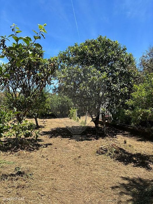 Terreno  para venda