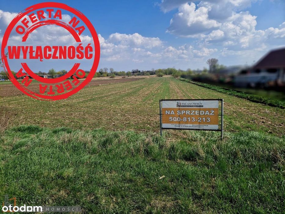 Działka na sprzedaż, Proszowice (gw) - Widok 2