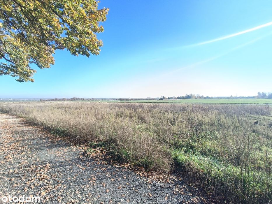 | Szybki dostęp do DK88 i A4 | 5 minut od centrum | MPZP | Media |