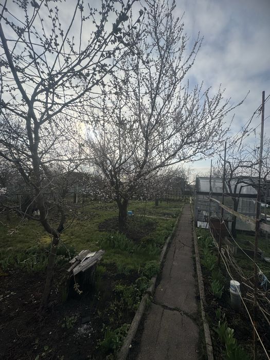 Продається дача СТ Будівельник